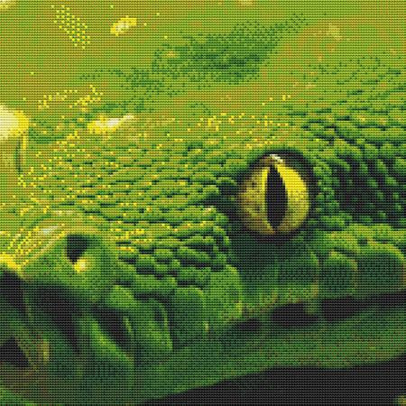 Green Python Closeup Cross Stitch Pattern / Stitchx Craft Designs