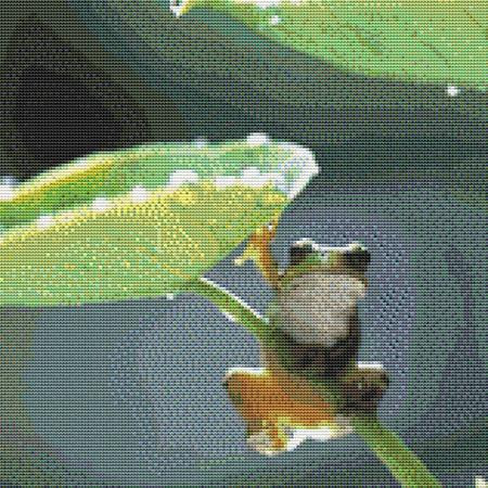 Cute Tiny Free Frog Cross Stitch Pattern / Stitchx Craft Designs