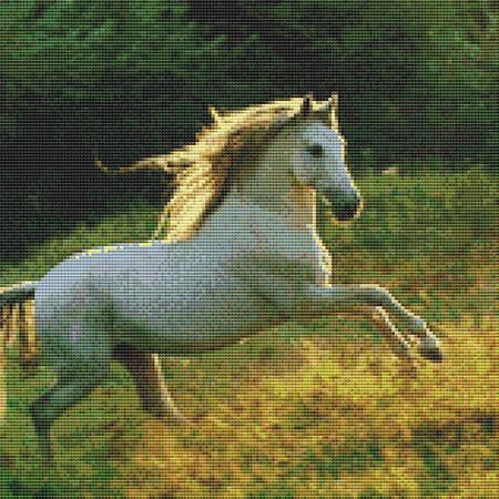Prancing Pony Cross Stitch Pattern / Stitchx Craft Designs