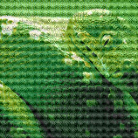 Coiled Green Snake Cross Stitch Pattern / Stitchx Craft Designs