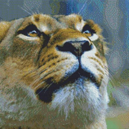 Staring Lion Cross Stitch Pattern / Stitchx Craft Designs