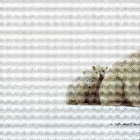 Nuzzling Polar Bear Cross Stitch Pattern / Stitchx Craft Designs