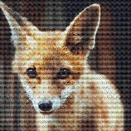 Curious Fox Cross Stitch Pattern / Stitchx Craft Designs