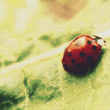 Cute Ladybug Cross Stitch Pattern / Stitchx Craft Designs