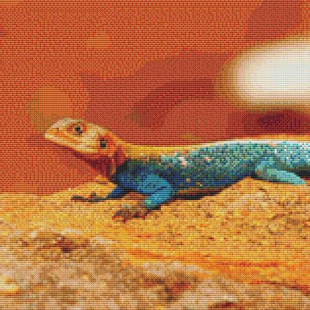 Orange Lizard Cross Stitch Pattern / Stitchx Craft Designs