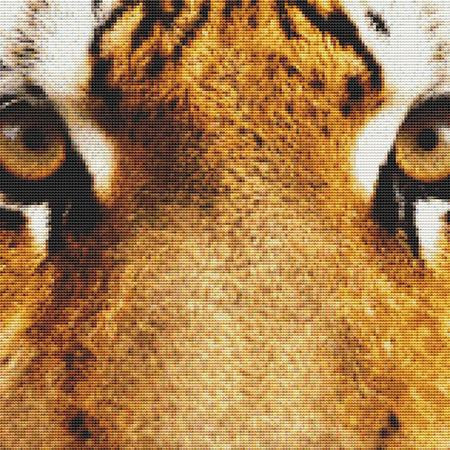 Cute Tiger Close-Up Cross Stitch Pattern / Stitchx Craft Designs