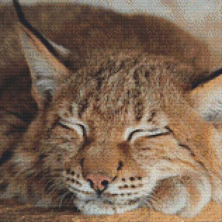 Sleeping Bobcat Cross Stitch Pattern / Stitchx Craft Designs