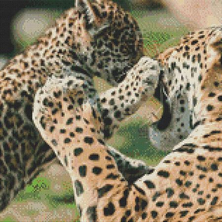 Dueling Leopards Cross Stitch Pattern / Stitchx Craft Designs