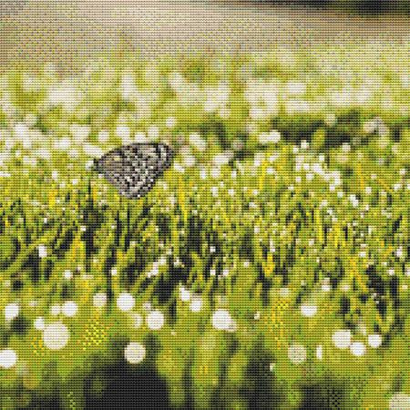 Grassfield Butterfly Cross Stitch Pattern / Stitchx Craft Designs