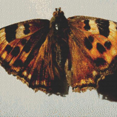 Tiger Moth Cross Stitch Pattern / Stitchx Craft Designs