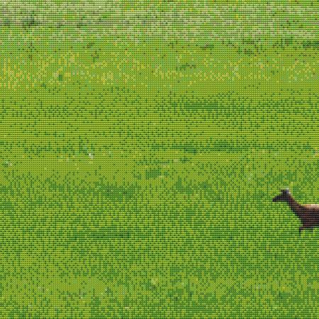 Grassland Deer Cross Stitch Pattern / Stitchx Craft Designs