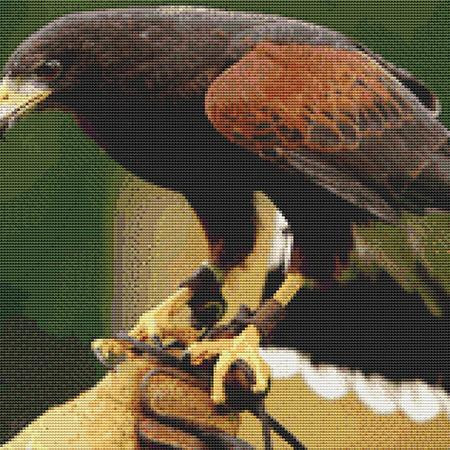 Perching Bird Cross Stitch Pattern / Stitchx Craft Designs