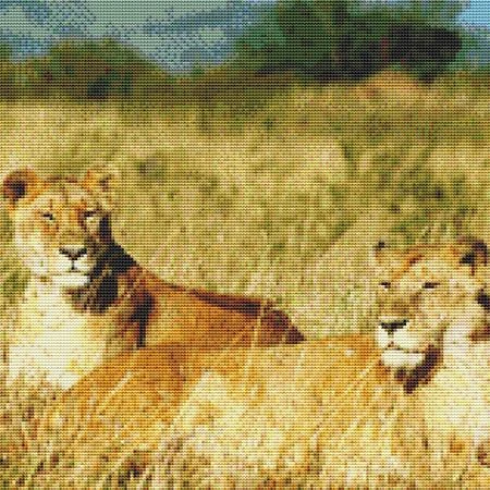 Resting Savannah Lions Cross Stitch Pattern / Stitchx Craft Designs