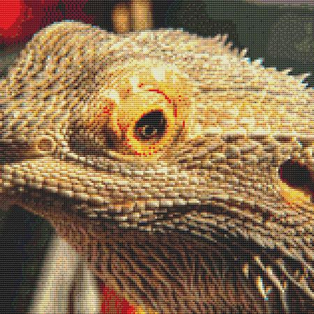 Tan Reptile Cross Stitch Pattern / Stitchx Craft Designs