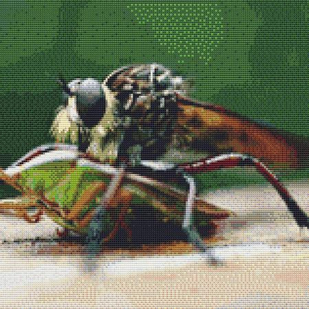 Curious Bugs Cross Stitch Pattern / Stitchx Craft Designs