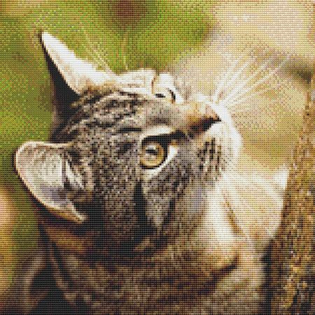 Curious Kitten Cross Stitch Pattern / Stitchx Craft Designs