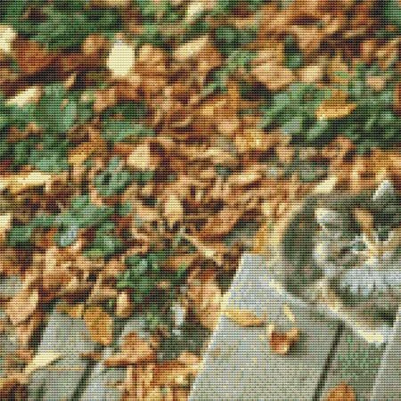 Autumn Kitten Cross Stitch Pattern / Stitchx Craft Designs