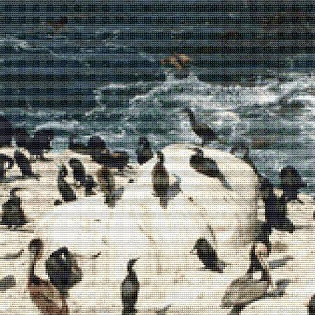 Seaside Flock Cross Stitch Pattern / Stitchx Craft Designs