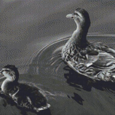 Grey Ducklings Cross Stitch Pattern / Stitchx Craft Designs