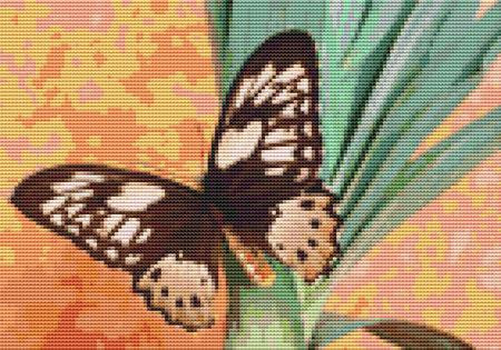 Brown Butterfly Cross Stitch Pattern / Stitchx Craft Designs
