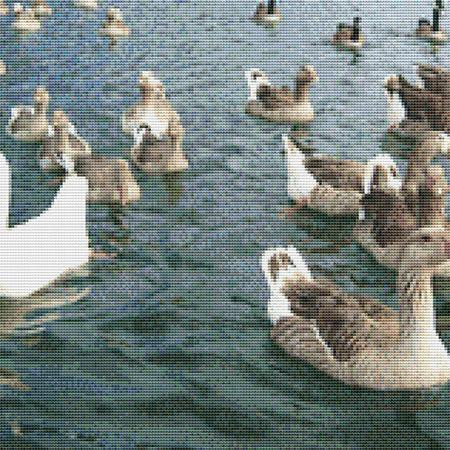 Flock Of Ducks Cross Stitch Pattern / Stitchx Craft Designs