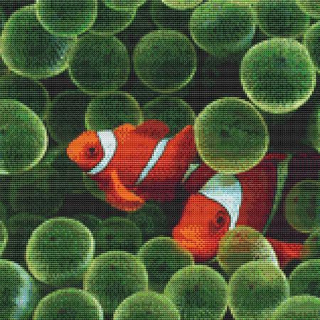 Clownfish Cross Stitch Pattern / Stitchx Craft Designs