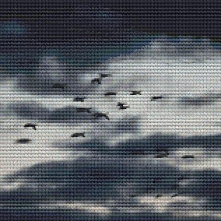 Stormy Skies Bird Flock Cross Stitch Pattern / Stitchx Craft Designs