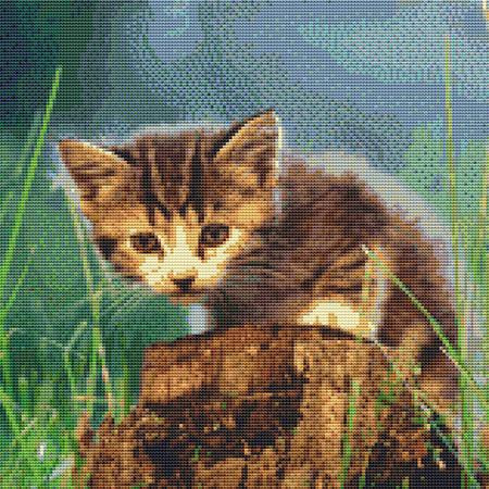 Cute Stumpy Kitten Cross Stitch Pattern / Stitchx Craft Designs