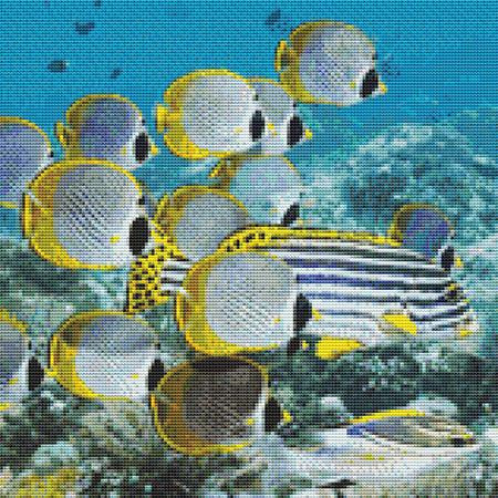Bright School Of Fish Cross Stitch Patter / Stitchx Craft Designs