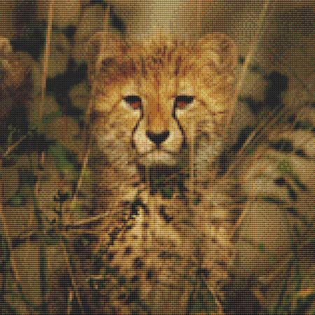 Wild Leopard Cub Cross Stitch Pattern / Stitchx Craft Designs