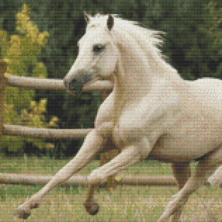 Racing White Horse Cross Stitch Pattern / Stitchx Craft Designs