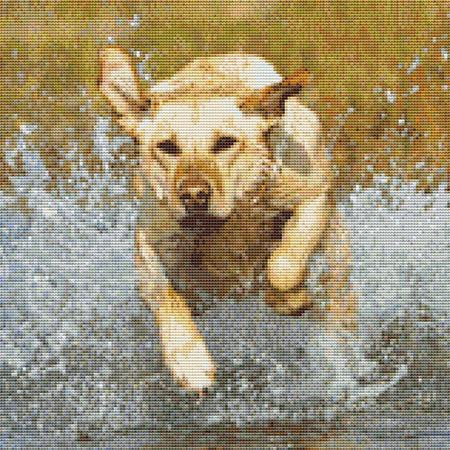 Dog In A Puddle Cross Stitch Pattern / Stitchx Craft Designs