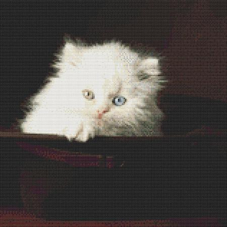 Silly White Cat Cross Stitch Pattern / Stitchx Craft Designs