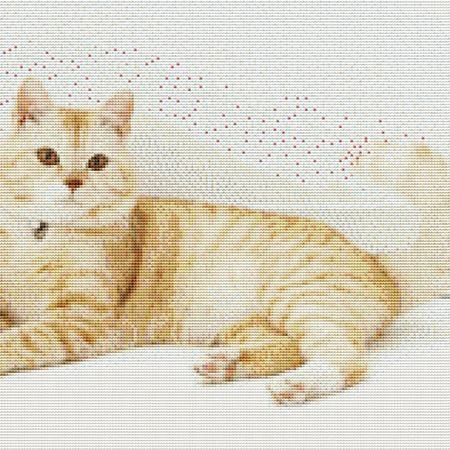 Royal Cat Cross Stitch Pattern / Stitchx Craft Designs