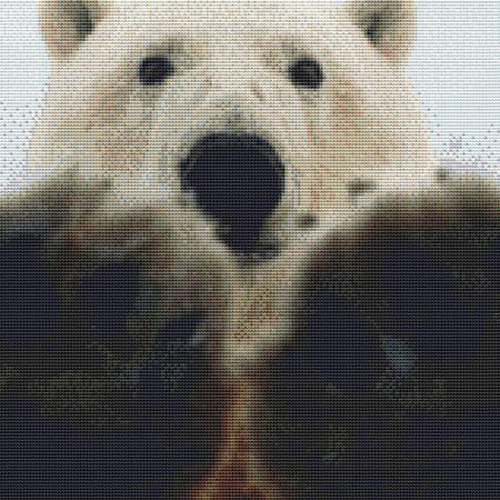 Cute Polar Bear Cross Stitch Pattern / Stitchx Craft Designs
