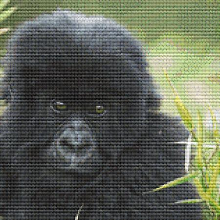 Cute Baby Gorilla Cross Stitch Pattern / Stitchx Craft Designs
