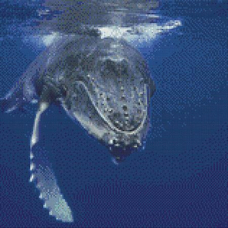 Giant Whale Cross Stitch Pattern / Stitchx Craft Designs