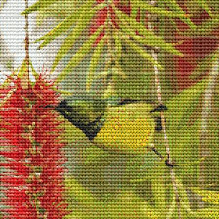 Tiny Wild Bird Cross Stitch Pattern / Stitchx Craft Designs