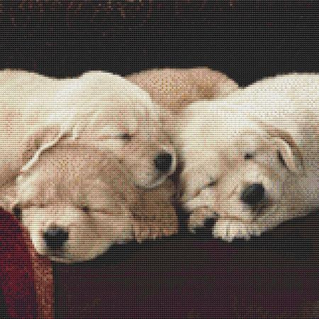Sleeping Cuddly Dogs Cross Stitch Pattern / Stitchx Craft Designs