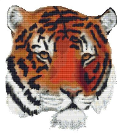 Katie's Tiger / Stitchx Craft Designs
