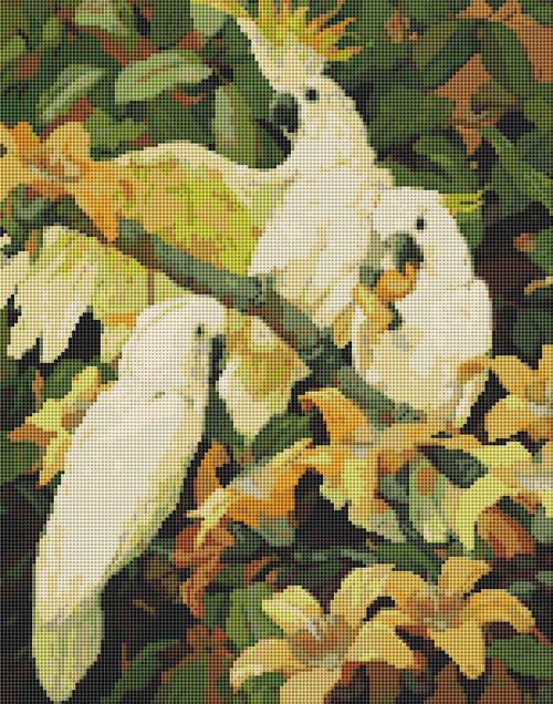 Sulphur Crested Cockatoos / The Art Of Stitch