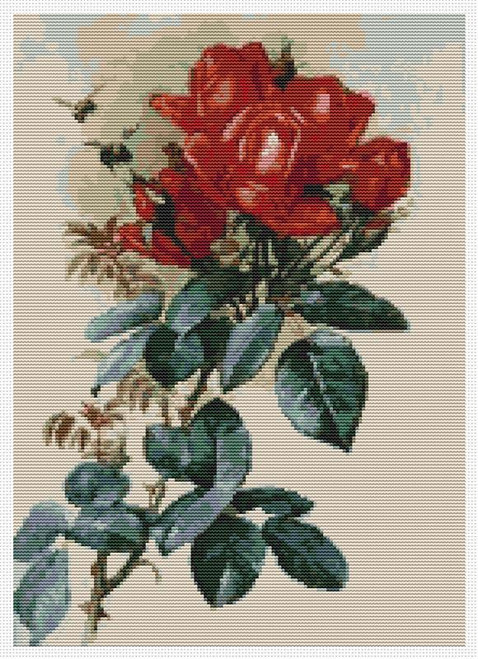 Papa Gontier Roses / The Art Of Stitch