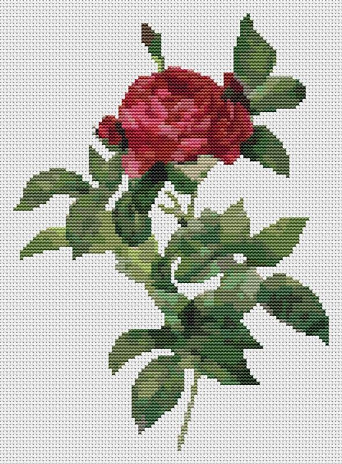 Rosa Gallica Pontiana / The Art Of Stitch