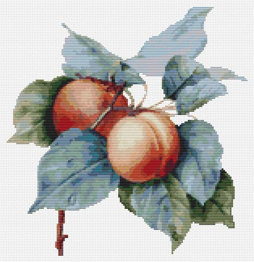 Apricots / The Art Of Stitch