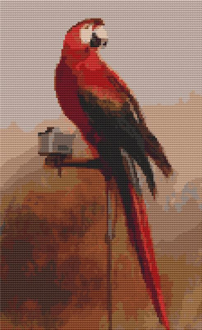Study Of A Parrot / The Art Of Stitch