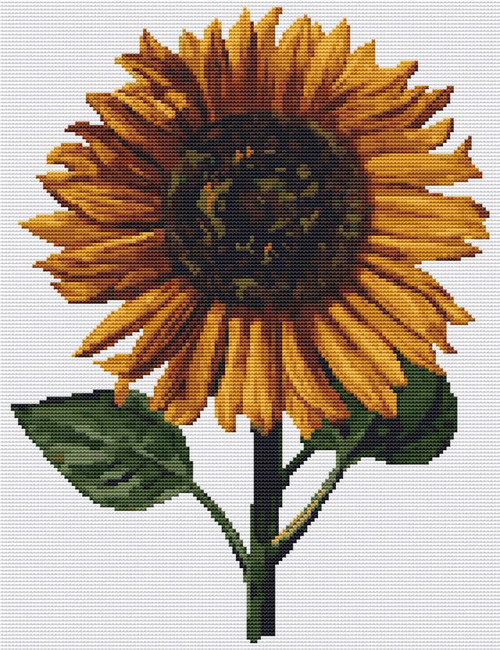 Sunflower / The Art Of Stitch