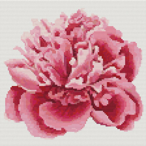 Peony / The Art Of Stitch