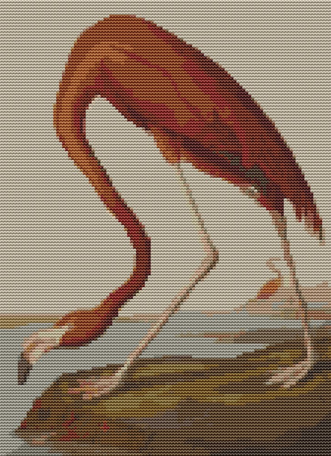 American Flamingo / The Art Of Stitch
