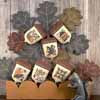 Acorns / The Prairie Schooler