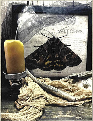 Moth Of Mother Shipton / The Primitive Hare